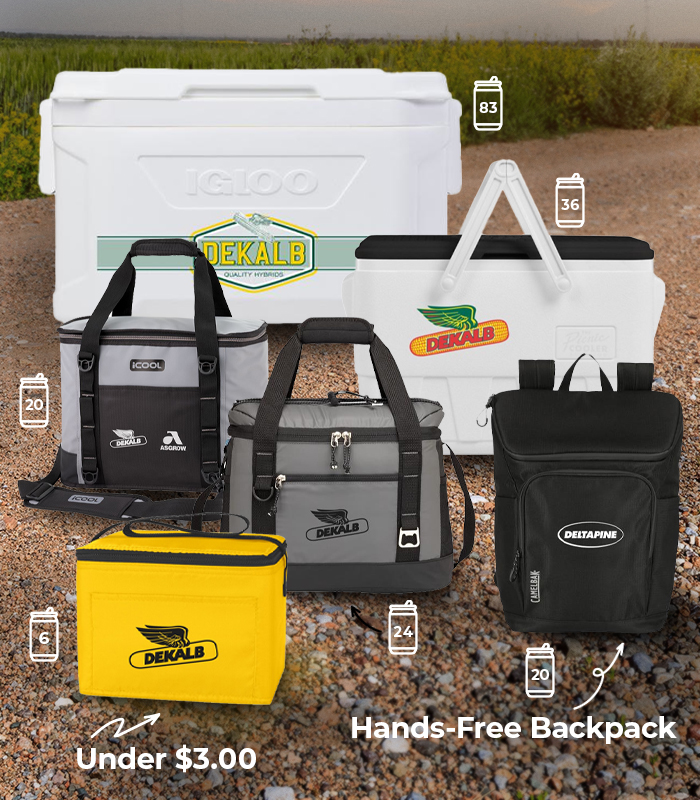 Bayer August eComm hero